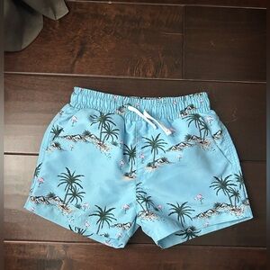 Umelok Palm Tree Flamingo Blue Bathing Suit Trunks 4T